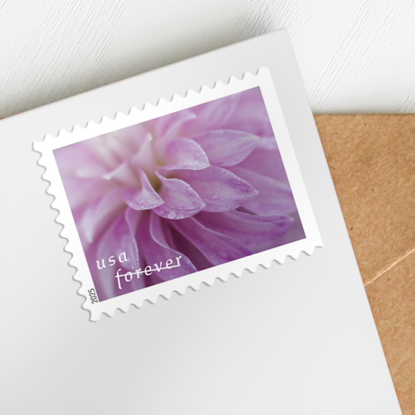 Hot Selling Stamp Blind Box, 500 PCS Big Sale, 5 Styles, 100 PCS Per Style | Tool Stamps US Postage Stamps