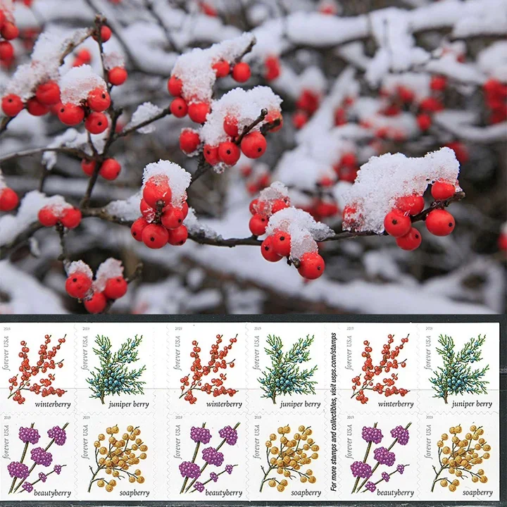2019 Winter Berries Forever Stamps | Forever Stamps US Postage Stamps