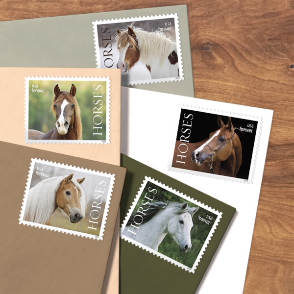 2024 Horses Stamps | Forever Stamps US Postage Stamps