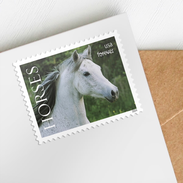2024 Horses Stamps | Forever Stamps US Postage Stamps