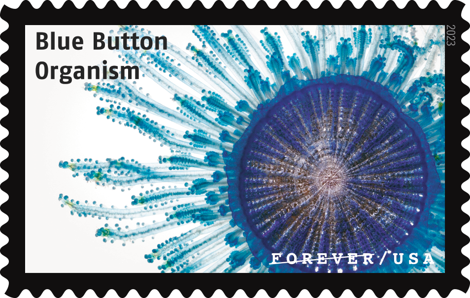 2023 Life Magnified Stamps - Forever Stamps