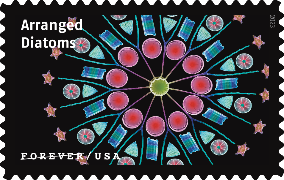 2023 Life Magnified Stamps - Forever Stamps