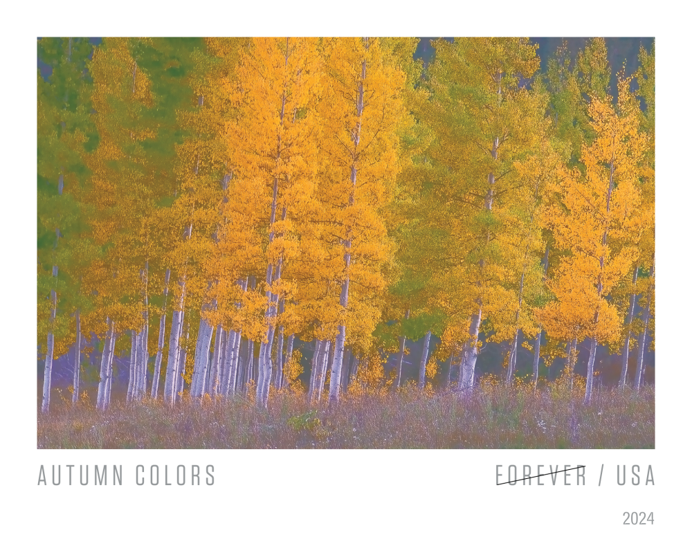 2024 Autumn Colors Stamps | Forever Stamps US Postage Stamps