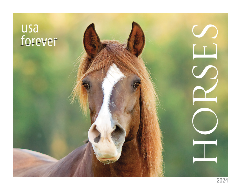 2024 Horses Stamps | Forever Stamps US Postage Stamps