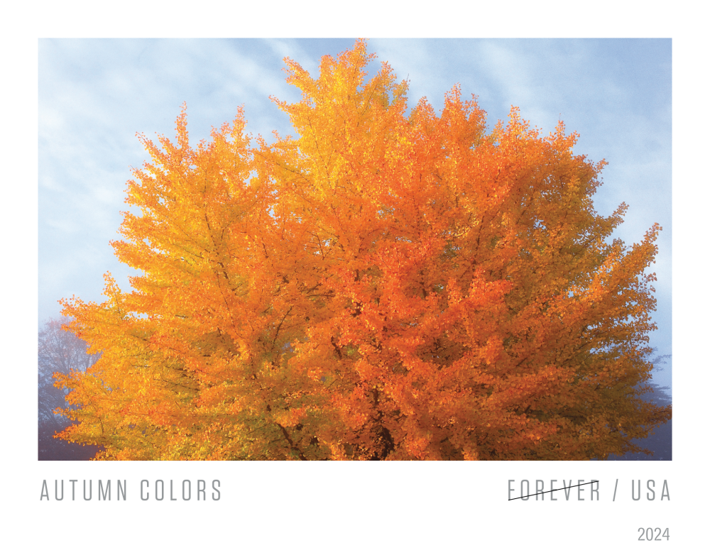 2024 Autumn Colors Stamps | Forever Stamps US Postage Stamps