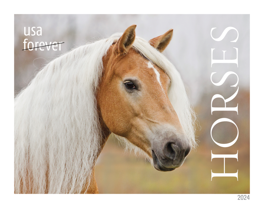 2024 Horses Stamps | Forever Stamps US Postage Stamps