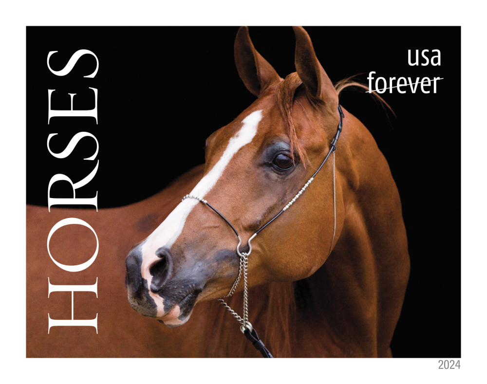 2024 Horses Stamps | Forever Stamps US Postage Stamps