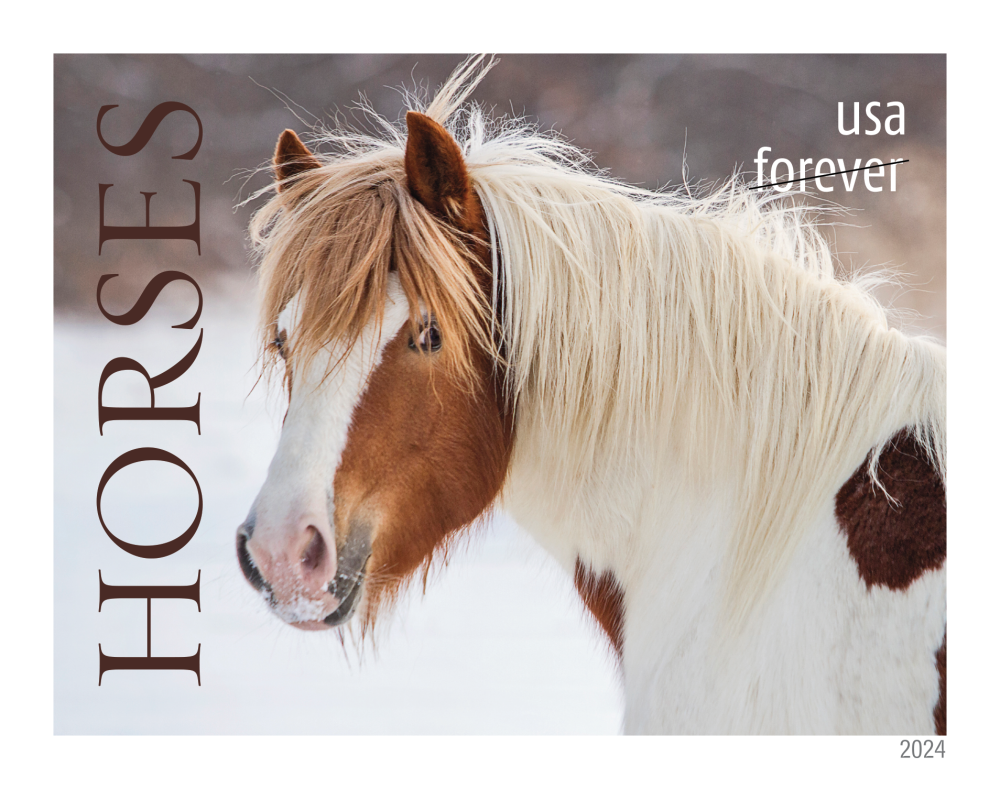 2024 Horses Stamps | Forever Stamps US Postage Stamps