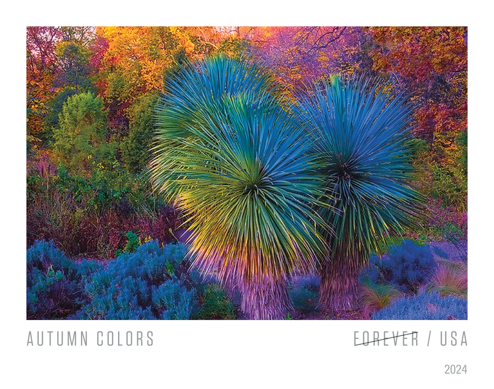 2024 Autumn Colors Stamps | Forever Stamps US Postage Stamps