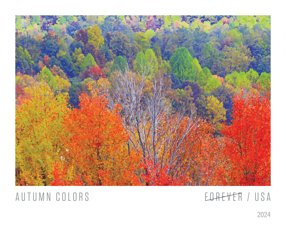 2024 Autumn Colors Stamps | Forever Stamps US Postage Stamps
