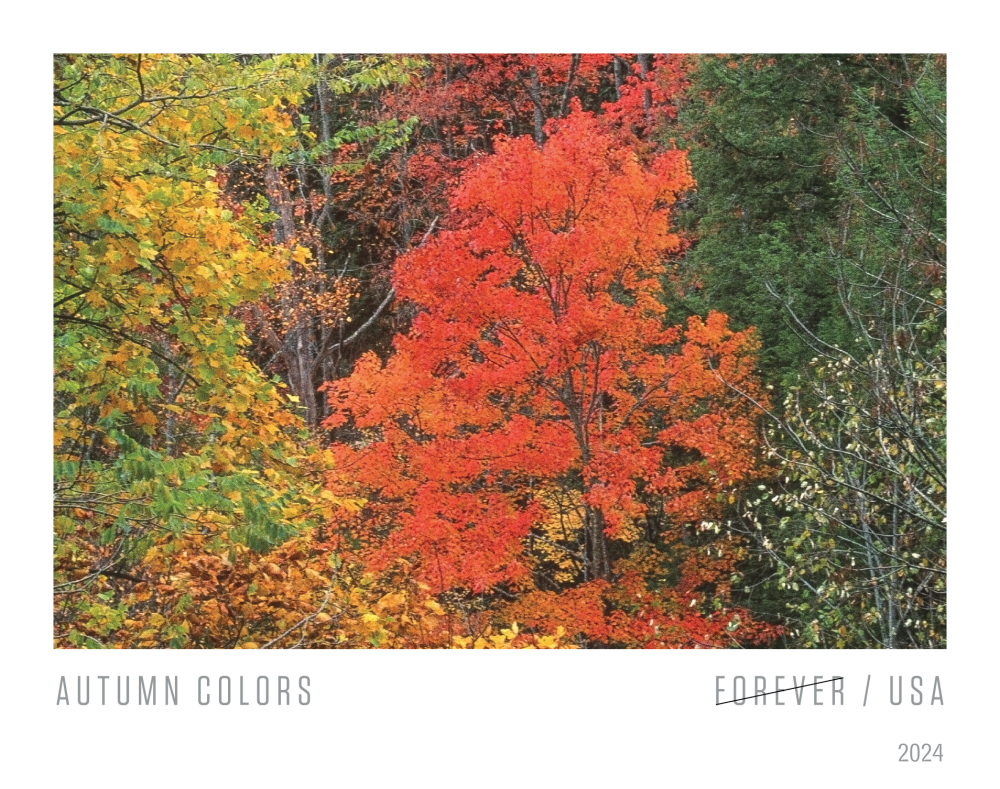 2024 Autumn Colors Stamps | Forever Stamps US Postage Stamps