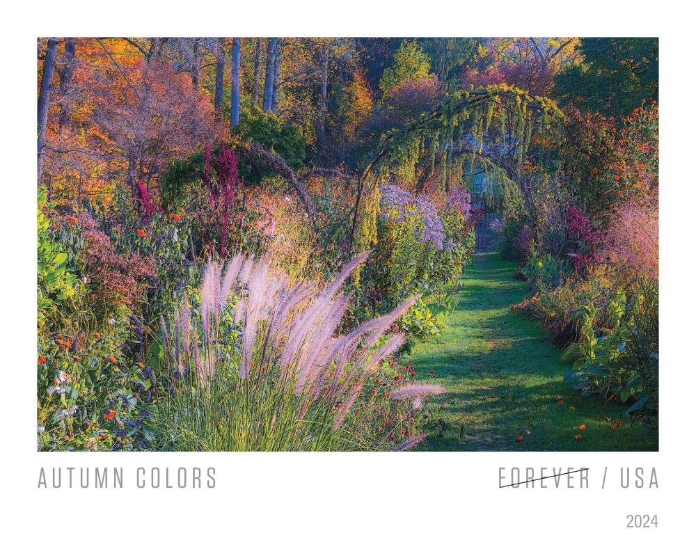 2024 Autumn Colors Stamps | Forever Stamps US Postage Stamps