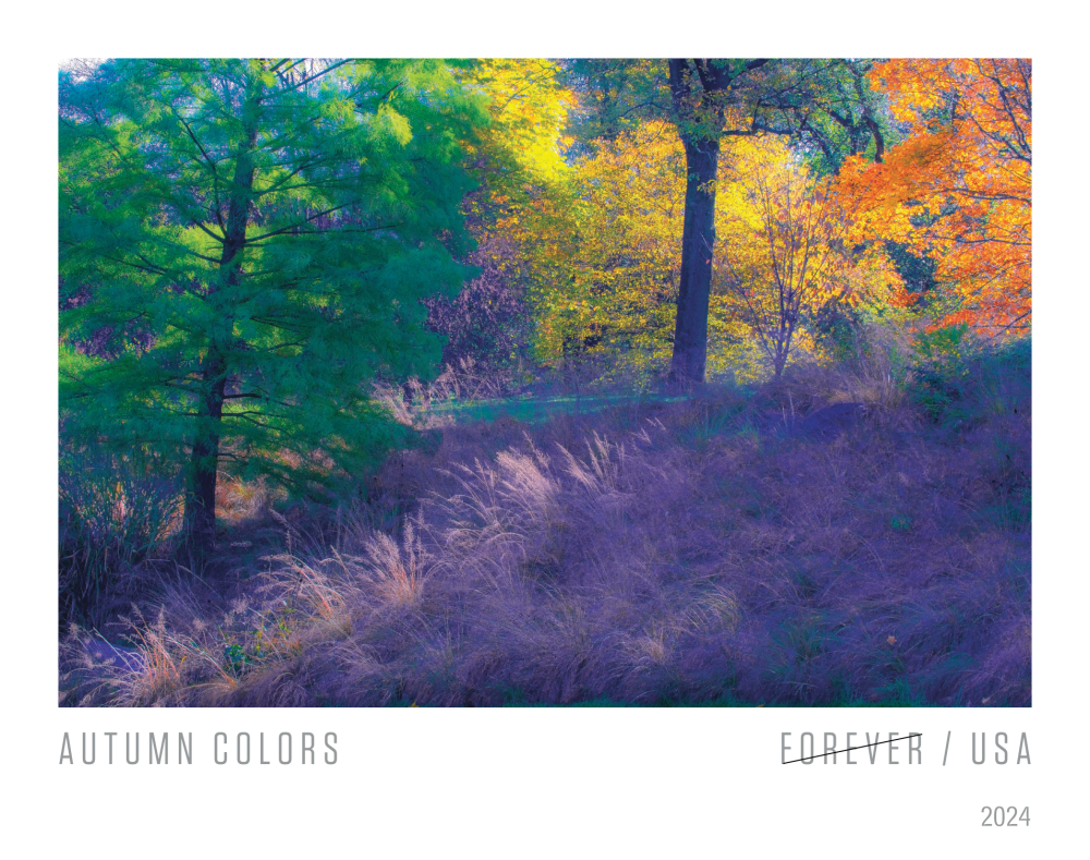 2024 Autumn Colors Stamps | Forever Stamps US Postage Stamps