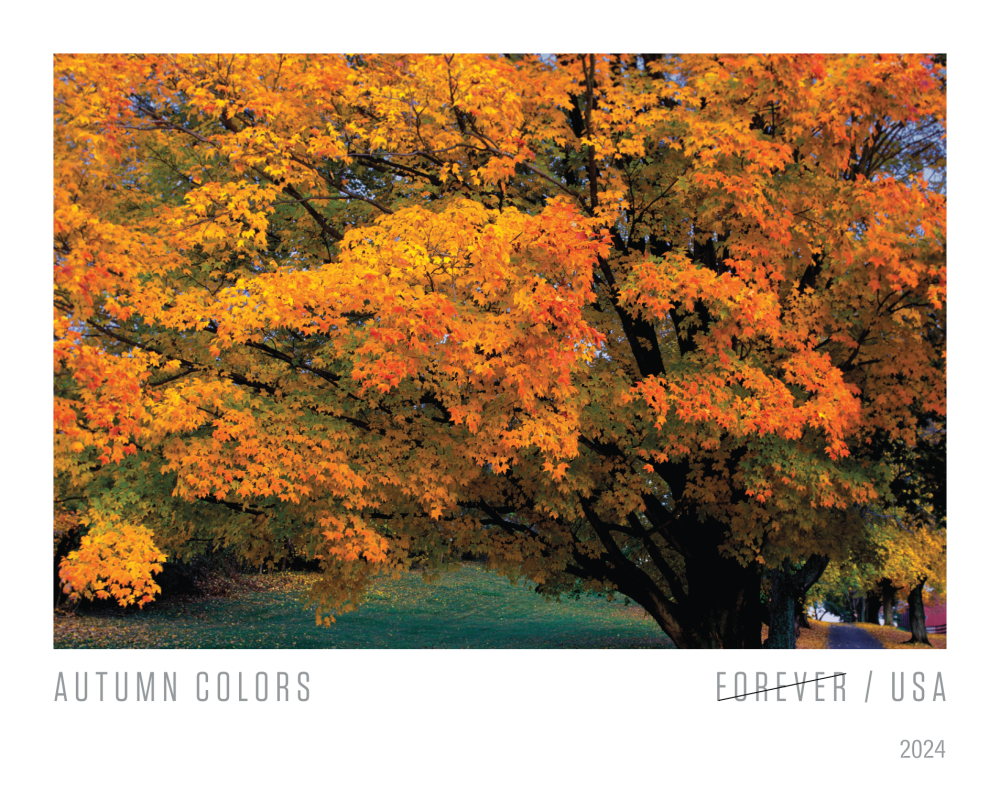 2024 Autumn Colors Stamps | Forever Stamps US Postage Stamps