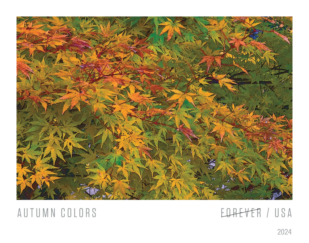 2024 Autumn Colors Stamps | Forever Stamps US Postage Stamps