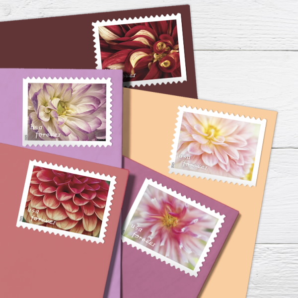 2025 Forever Stamps Dahlias Stamps - Forever Stamps