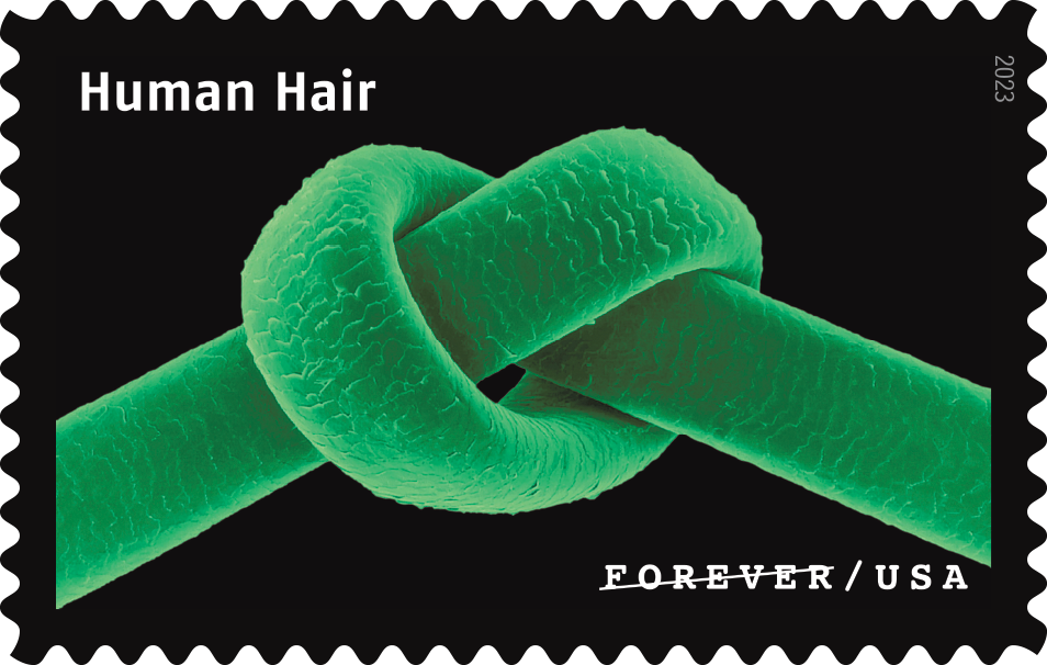 2023 Life Magnified Stamps - Forever Stamps